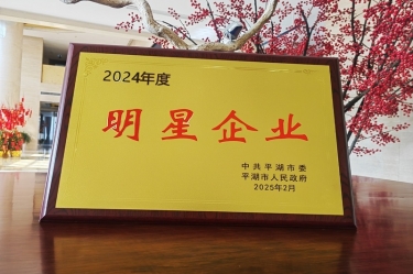 新春新景新气象 | 至尊国际纸业在平湖三干大会上喜摘声誉！