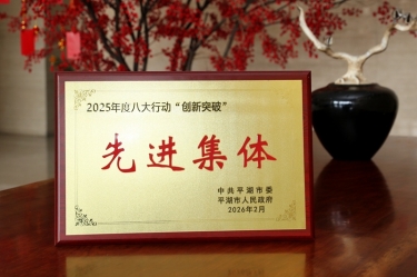 策马扬鞭启新程！！至尊国际纸业在平湖市三级干部大会上荣获“立异突破”双项声誉